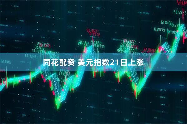 同花配资 美元指数21日上涨