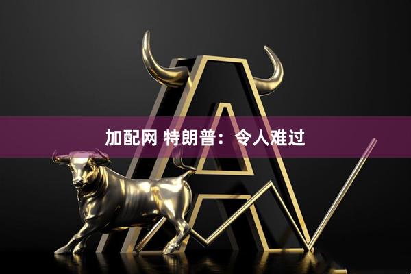 加配网 特朗普：令人难过
